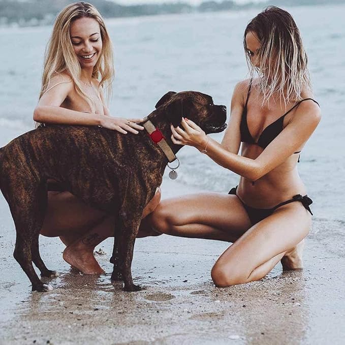 Air Tags-2 Pack Airtag Dog Collar Holder SWINCHO 1-3cm Width