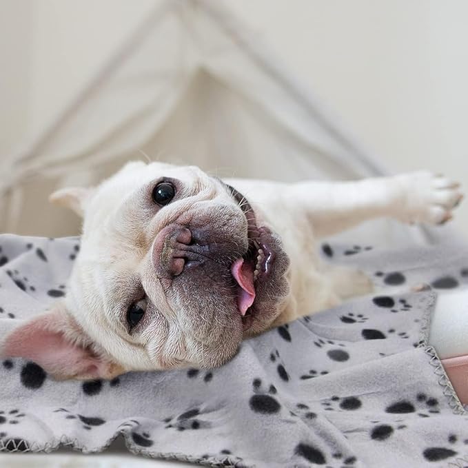 EAGMAK Cute Dog Cat Fleece Blankets with Paw Prints for Kitten Puppy and Small Animals Pack of 6 (Black 39 * 31Inch