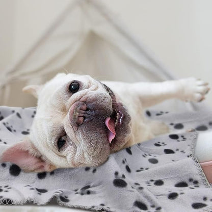 EAGMAK Cute Dog Cat Fleece Blankets with Paw Prints for Kitten Puppy and Small Animals Pack of 6 (Black 39 * 35 Inch