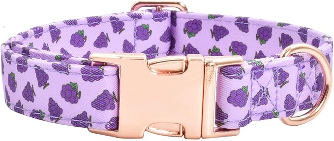 Cotton Dog Collar Metal Buckle Daisy Summer M(13-18in))