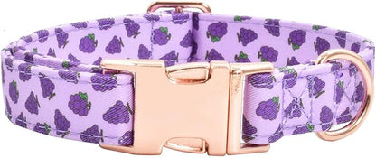 Cotton Dog Collar Metal Buckle Daisy Summer M(13-18in))