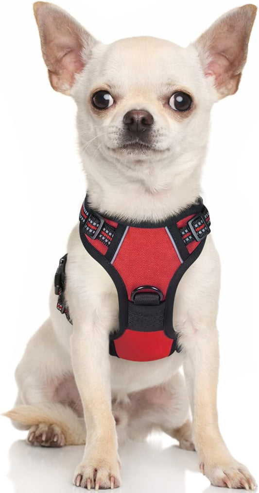 rabbitgoo Dog Harness 2 Leash
