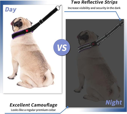 Martingale Collar for Dogs