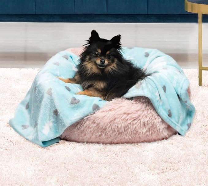 Juicy Couture Turquoise Blue Dog Blanket – Plush Puppy Blanket Throw, Printed, Breathable, Lightweight, Machine Washable, Cat Blanket for Small Medium & Large Pets