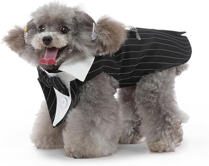 Puppy Tuxedo with Detachable Bowtie Prom Wedding Formal Wear Prince Costume for Small Dog (X-Small, Black Stripe)