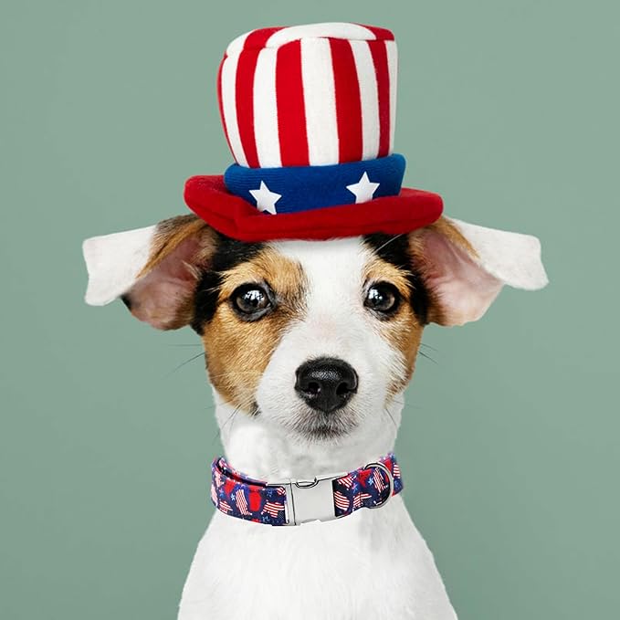 Independence Day Dog Collar