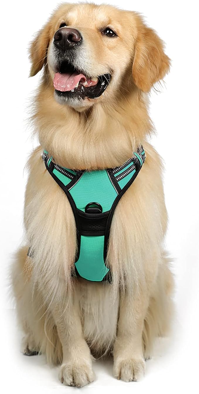 rabbitgoo Dog Harness, No-Pull Pet Harness with 2 Leash Clips, Adjustable Soft Padded Dog Vest, Reflective No-Choke Pet Oxford Vest with Easy Control Handle for Large Dogs, Turquoise, XL