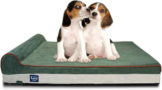 Laifug Orthopedic Memory Foam Dog Bed with Pillow and Durable Water Proof Liner & Removable Washable Cover & Smart Design Medium (34"x22"x7")