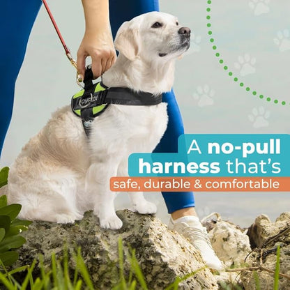 Joyride Harness 2.0 - The Original Side Ring No Pull Dog Harness - No Choke, Escape Proof, Reflective, 3 Leash Clips, Quick Fit Pet Vest - Easy Walks & Training - for Small, Medium & Large Dogs