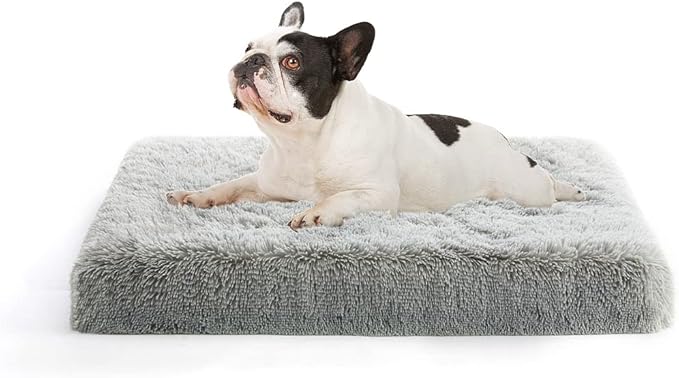 MIHIKK Small Dog Bed 24x16 inch,