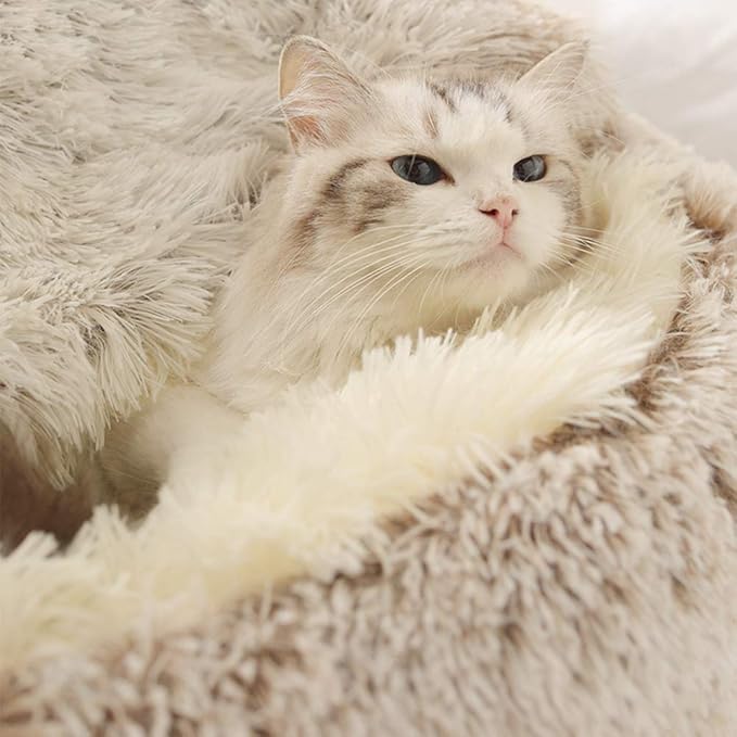 Geizire Dog Bed & Cat Bed