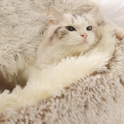 Geizire Dog Bed & Cat Bed