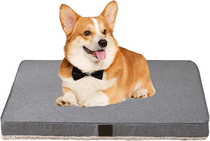 DaysU Dog Bed for Small Dogs 20 lbs, 30x20x3in