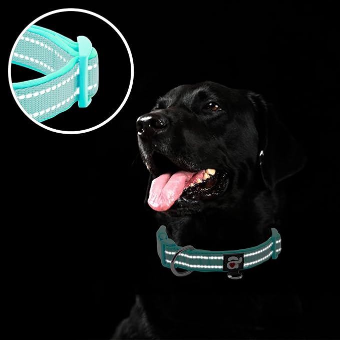 azuza Reflective Dog Collar