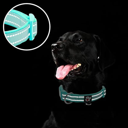 azuza Reflective Dog Collar