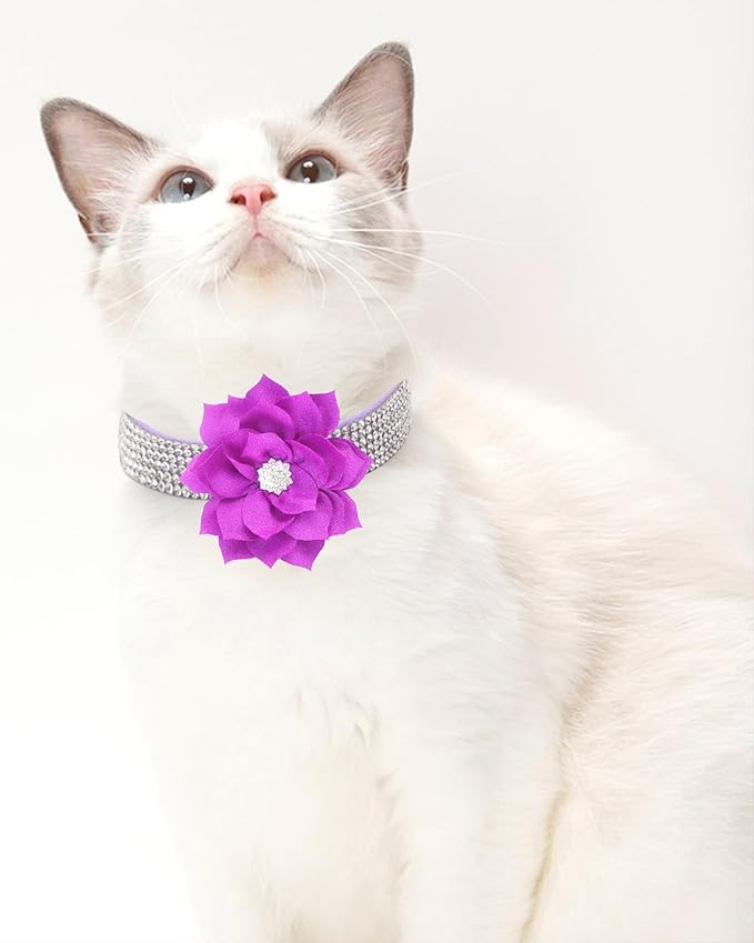 Rhinestone Dog Collar for Small Medium Dogs Purple Medium Dog Collar for Girl Female Dogs Flower Puppy Collar for Summer Spring Wedding Puppy Necklace Girl Dog Collar (Purple
