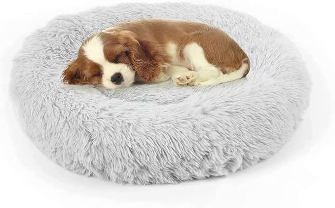 Dog Bed