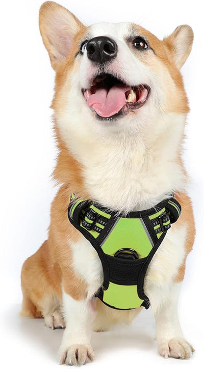 rabbitgoo Dog Harness, No-Pull Pet Harness with 2 Leash Clips, Adjustable Soft Padded Dog Vest, Reflective No-Choke Pet Oxford Vest with Easy Control Handle for Medium Dogs, Wild Lime, M