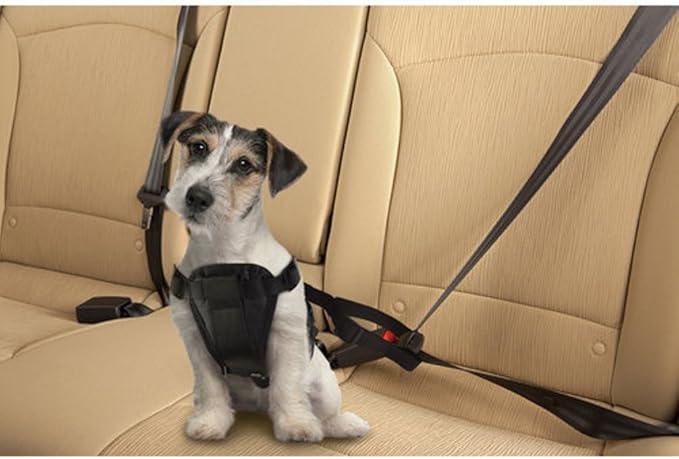 Pet Seat Belt Harness