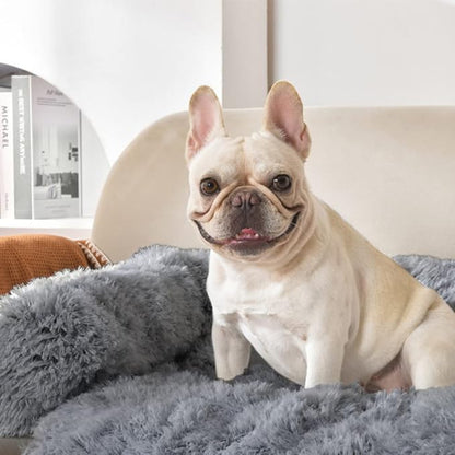 PawRoll Calming Dog Bed