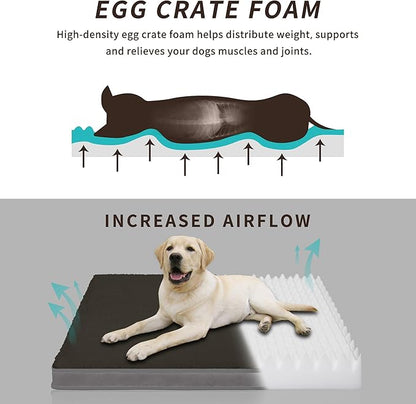 Easy-Going Dog Bed for Small Dogs (20x15x3 in,