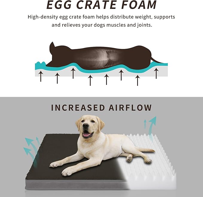 Easy-Going Dog Bed for Medium Dogs (30x20x3 in,