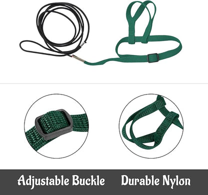 2 pcs Pet Parrot Bird Harness and Leash, Adjustable Training Design Anti-Bite, Outdoor Flying Training Rope Kit for Bird Parrots Fits Birds Chest Between24-51cm /9.45-20inch - M (Green)