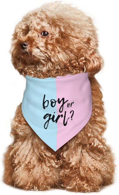 He Or She What Will It Be? Gender Reveal/Baby Announcement Dog Bandana,Pet Neckerchief for Pets Daily Wear Photo Prop Party Supplies (Pink/Blue)