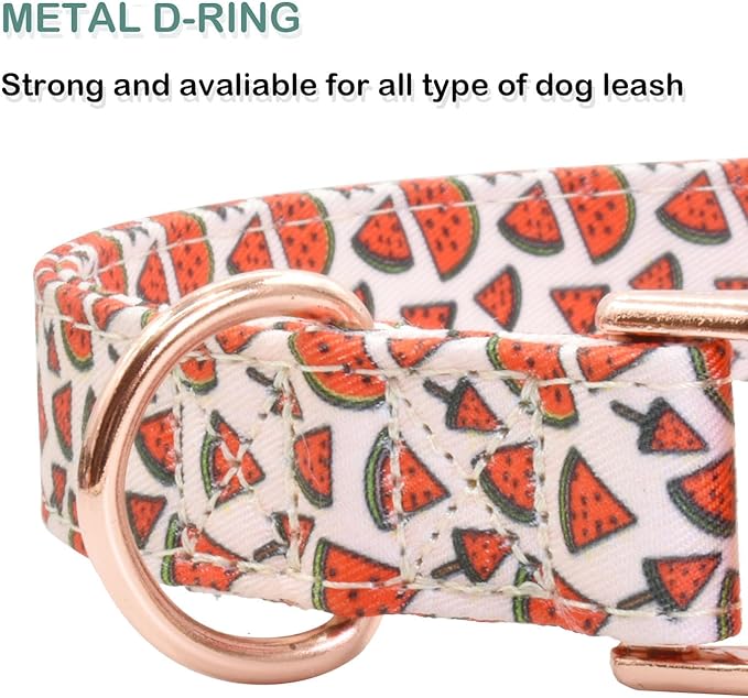 Cotton Dog Collar Metal Buckle Daisy Summer S(10-14in))