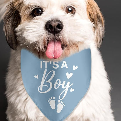 It's a Boy Gender Reveal Baby Announcement Dog