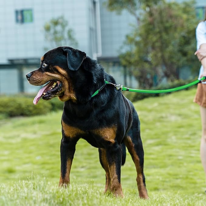 Dog Leash ((1/3") - 6FT, Light