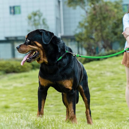 Dog Leash ((1/2") - 2FT, Light