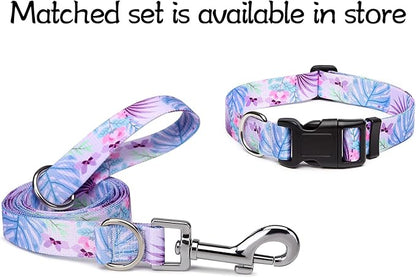 Adjustable Dog Collar with Patterns