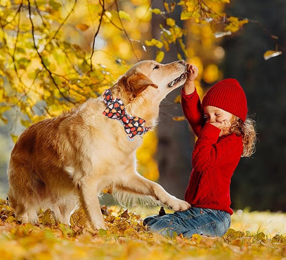 DOGWONG Fall Dog Collar with Bowtie