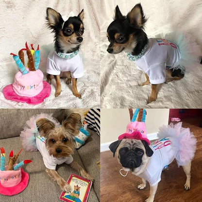 Dog Birthday Princess Tutu Dress for Small Dogs Girl + Adjustable Puppy Cat Birthday Party hat Cake Shaped (Dress+hat