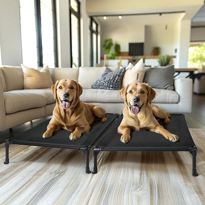 Veehoo 2 Pack Raised Dog Bed 42" x 30", Black, CWC1803-L