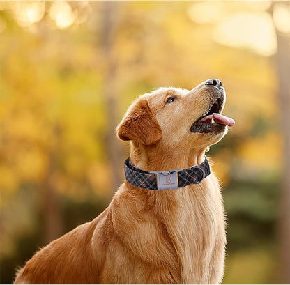 Lionheart glory Premium Plaid Dog Collars Fall Dog