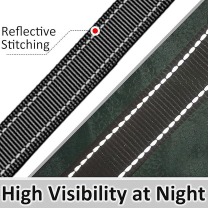 3 Handle Dog Leash 10FT Triple