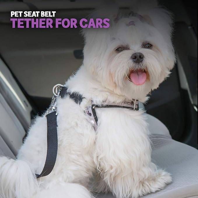 Poodle Pet Easy Click Car Seat Belt for Dogs