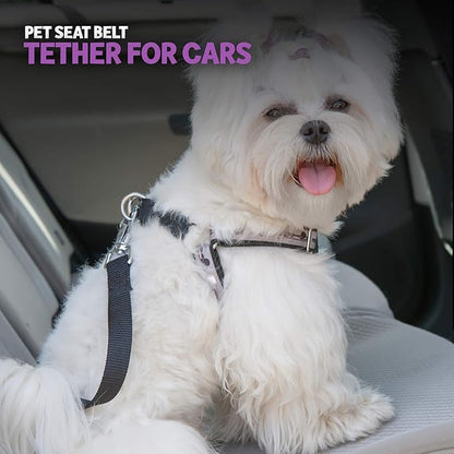 Poodle Pet Easy Click Car Seat Belt for Dogs