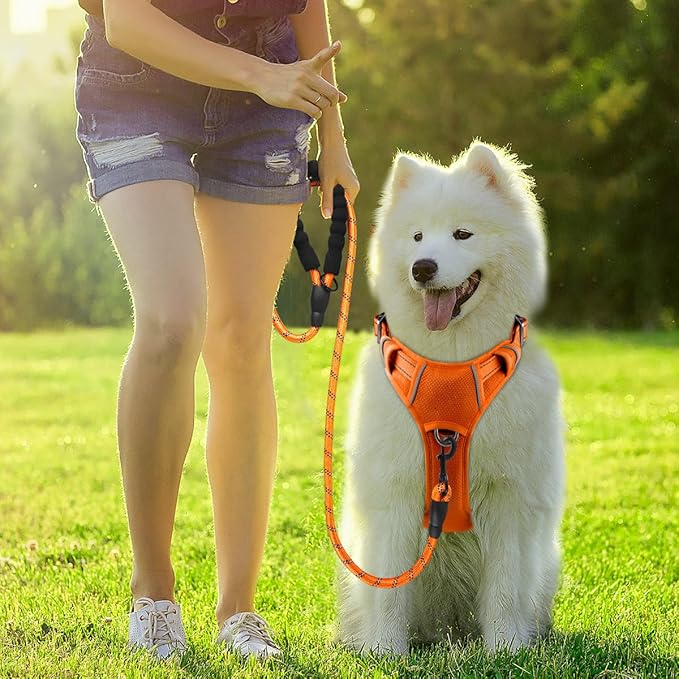 BARKBAY Dog Harness No Pull with ID Tag Pocket - Heavy Duty, Reflective, Easy Control for Large Dogs (Orange,XL)