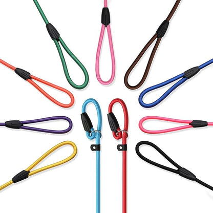 11pcs Slip Lead Dog Leash Dogs（11 Colors）