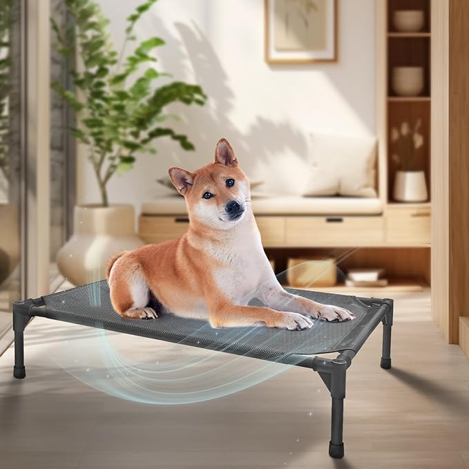 Elevated Dog Bed