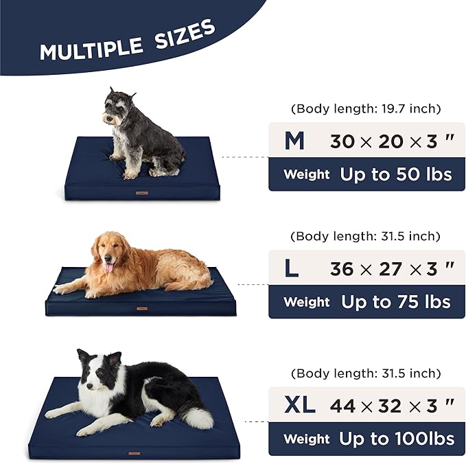 Lesure Waterproof Dog Bed for Medium Dogs
