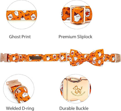 Elegant little tail Fall Dog Collar