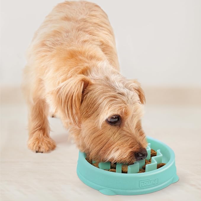 Outward Hound Fun Feeder Slo Bowl Slow Pet Feeder Bowl for Dogs in Mint Plastic