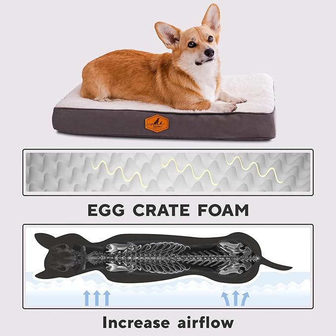 Orthopedic Dog Bed for Small Dogs