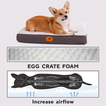 Orthopedic Dog Bed for Small Dogs