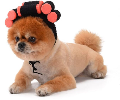 Funny Dog Cat Cosplay Wig