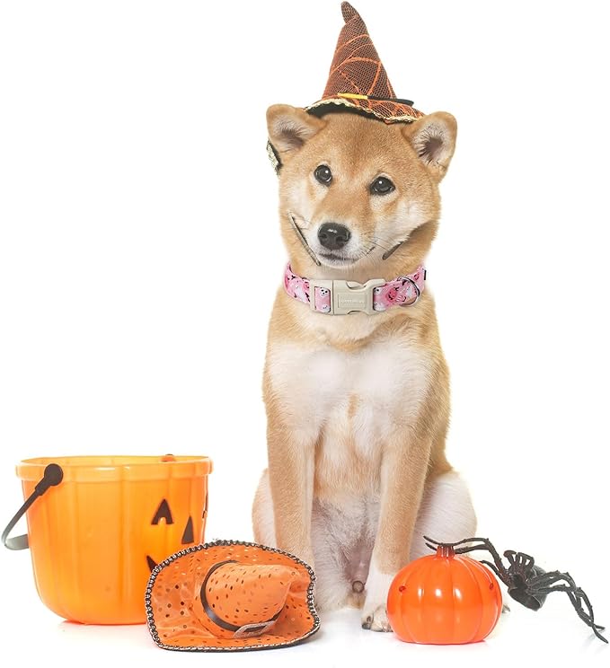 Lionet Paws Halloween Pink Dogs Collar Halloween 16-24 inches